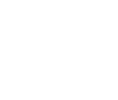 Dualsoft